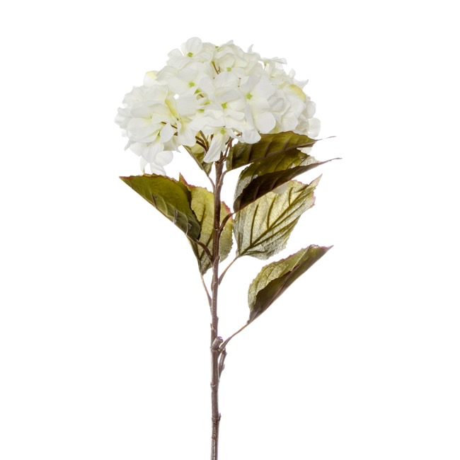 Princess Hydrangea Stem White (106cmH)
