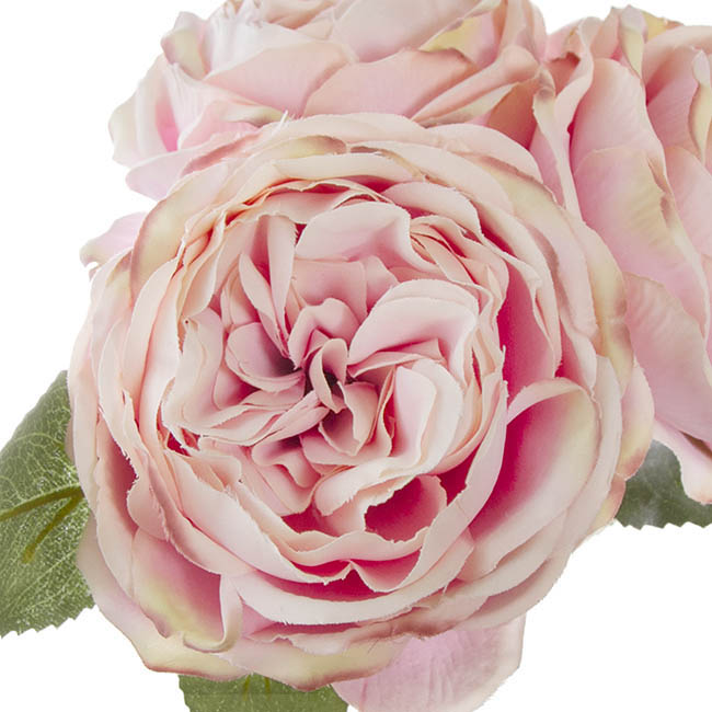 English Garden Rose Bouquet Ice Pink (35cmH)