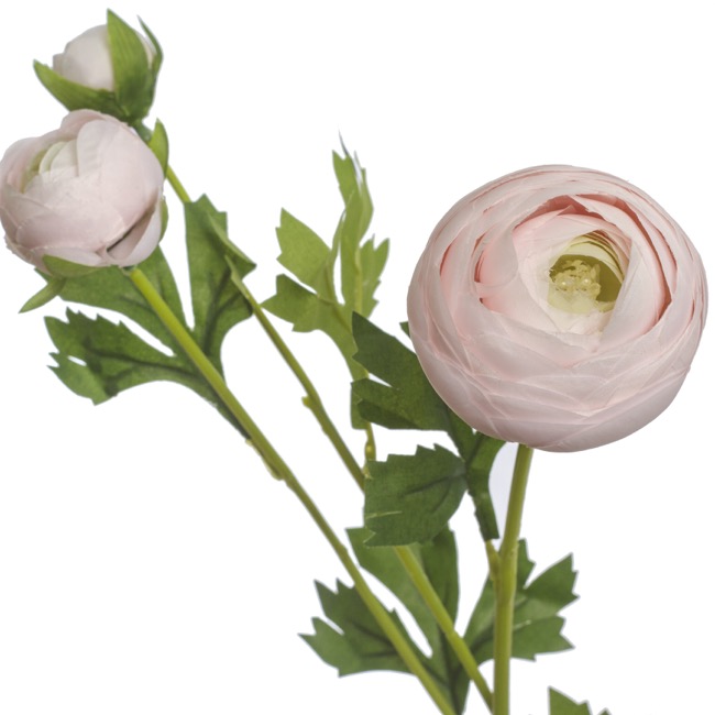 Valentina Ranunculus Spray Pale Pink (49cmH)