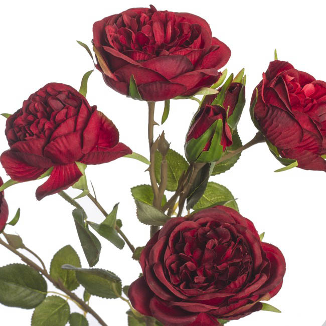 Anna Garden Rose Spray Red (73cmH)