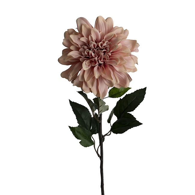 Dahlia Long Stem w Lge Flower Head Blush Pink (19cmDx80cmH)