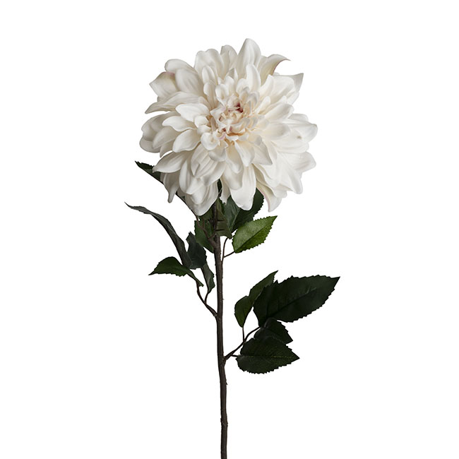 Dahlia Long Stem w Lge Flower Head White (19cmDx80cmH)