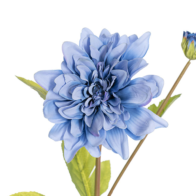 Dahlia Stem Mystic Blue (53cmH)