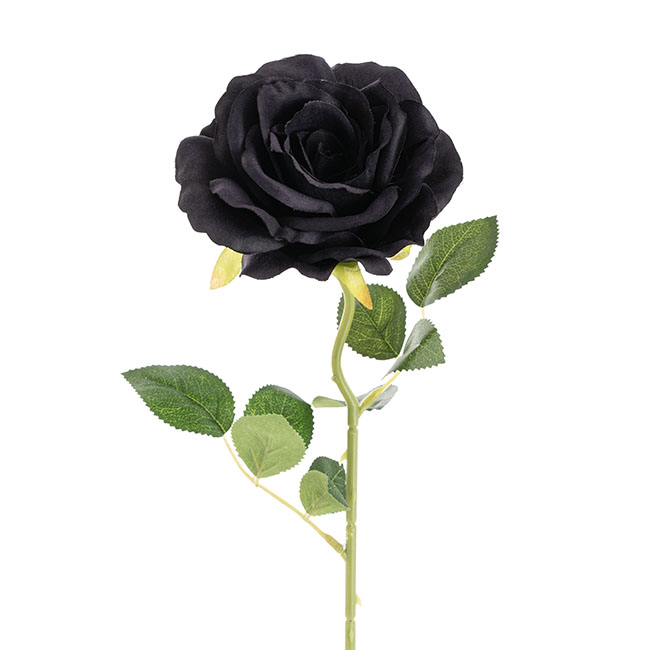 Sophie Open Rose Stem Black (11.5cmDx51cmH)