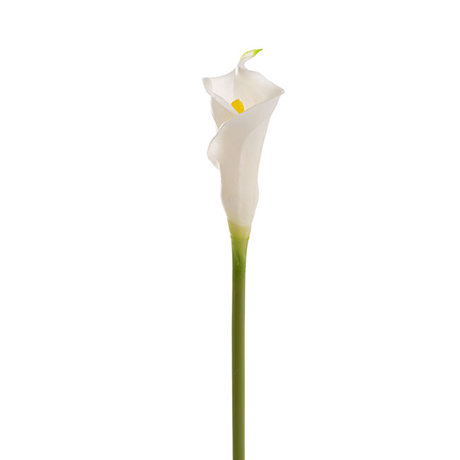 Calla Lily Early Bloom Stem Real Touch White (60cmST)