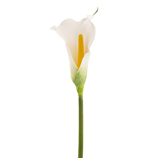Real Touch Calla Lily White (72cmH)