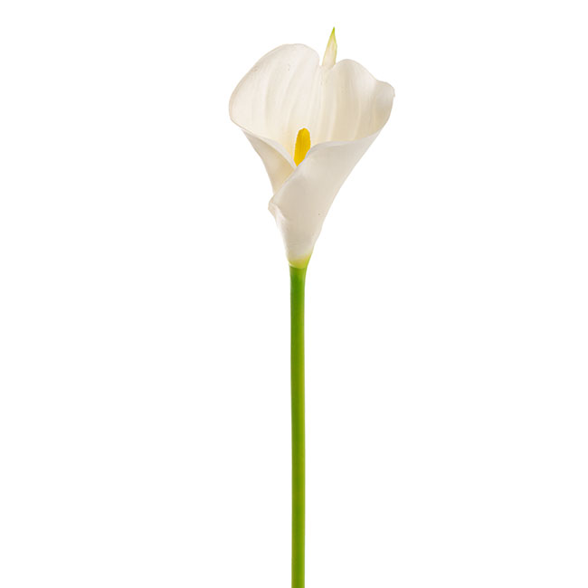 Calla Lily Open Bloom Stem (70cmST) Real Touch White