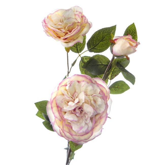 Christina Peony Rose Spray Cream Pink (89cmH)