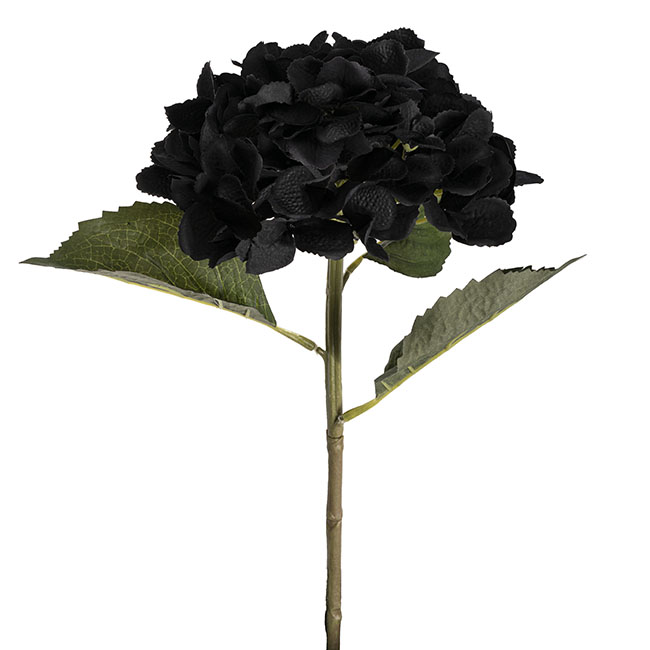 Claire Hydrangea Short Stem Black (52cmH)