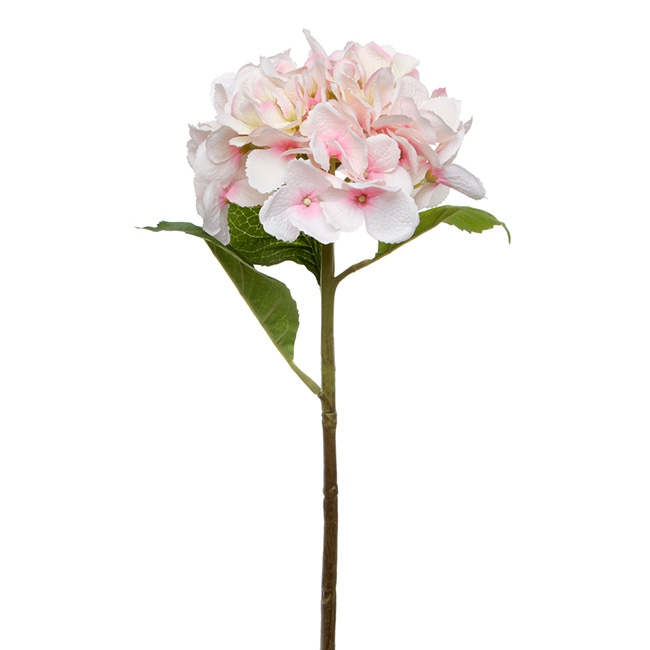 Claire Hydrangea Short Stem Light Pink (52cmH)