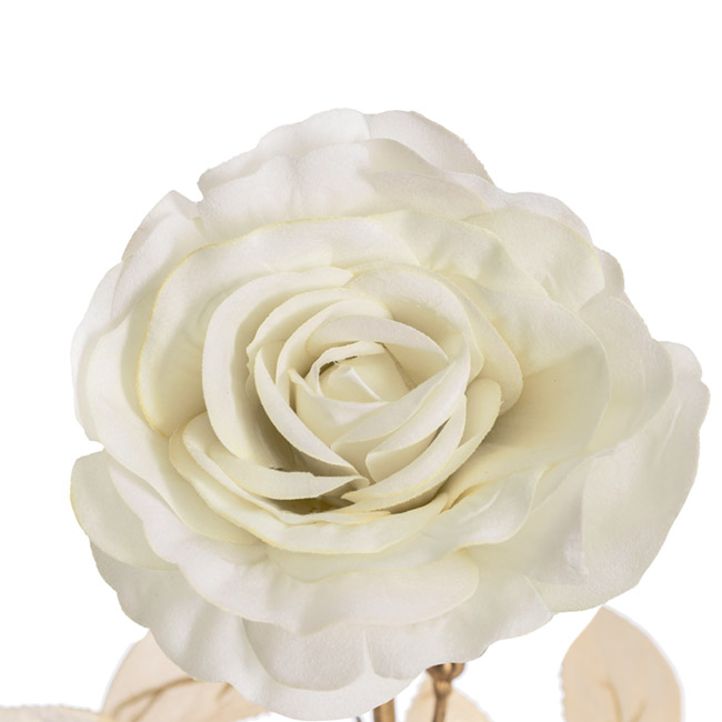Enchanted Gold Leaf Rose Stem White (14cmDx73cmH)