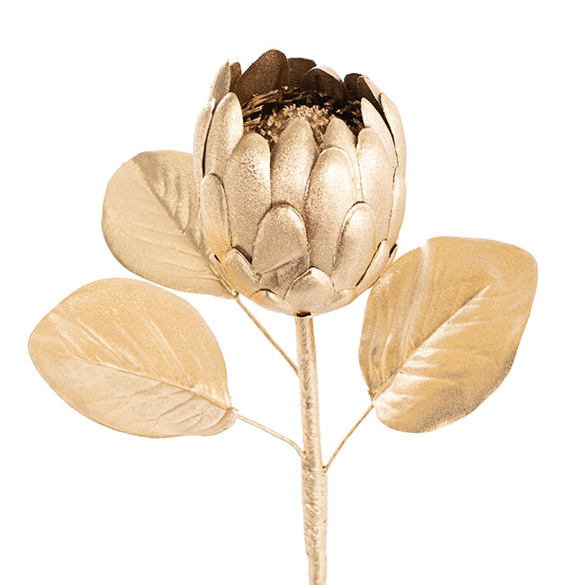 Native Protea Half Open Head Metallic Gold (58cmH)