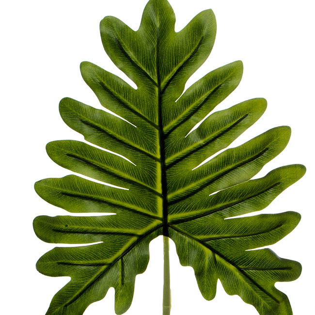 Philo Fingers Leaf Pick Dark Green (55cmH)