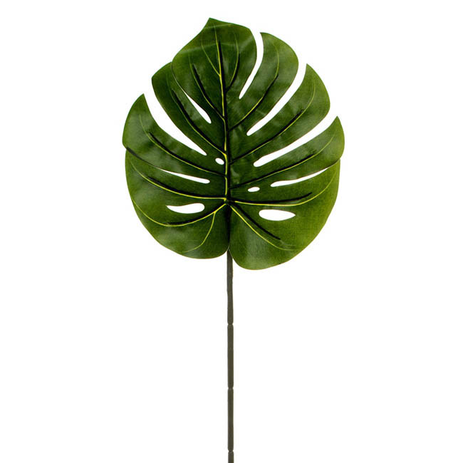 Philo Split Leaf Dark Green (89cmH)