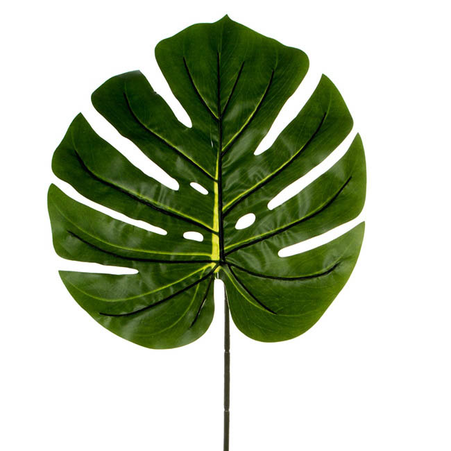 Philo Split Leaf Dark Green (100cmH)