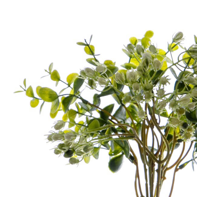 Eucalyptus Fruit Bouquet Green White (34cmH)