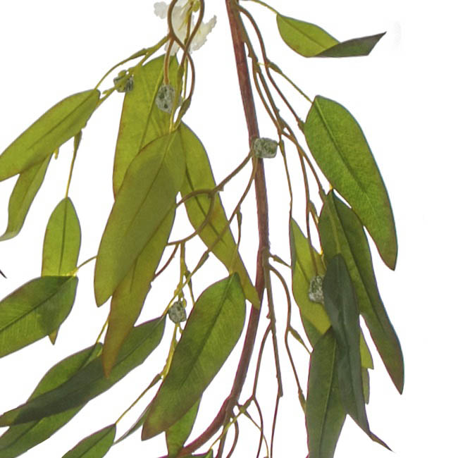 Eucalyptus Willow Leaf Gumnut Garland Green Red  (125cm)