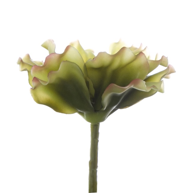 Artificial Succulent Ruffle Flower Green (12x18cmH)