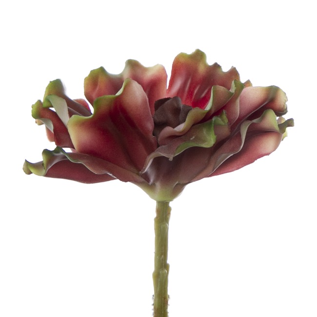 Artificial Succulent Ruffle Flower Wine Burgandy(12x18cmH)