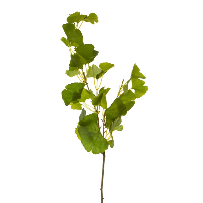Artificial Ginkgo Leaf Spray Green (94cmH)
