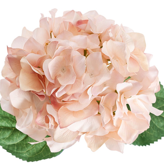 Royal Hydrangea Stem Soft Pink (78cmH)