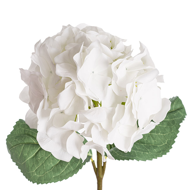Royal Hydrangea Stem White (78cmH)