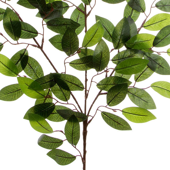 Camellia Leaf Spray 80 Leaves Green (65cmH)