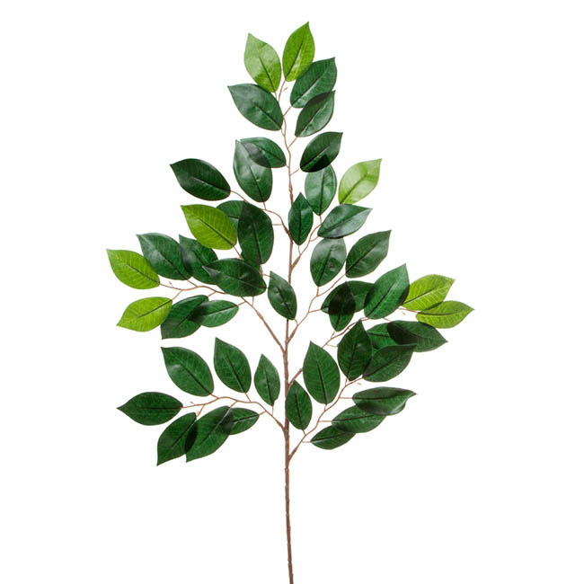 Ficus Leaf Spray 49 Leaves Green (65cmH)