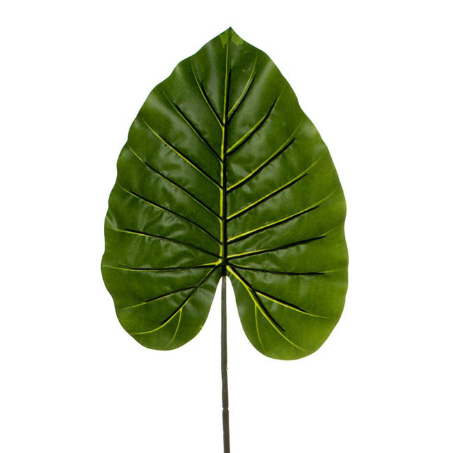 Canna Leaf Dark Green (95cmH)