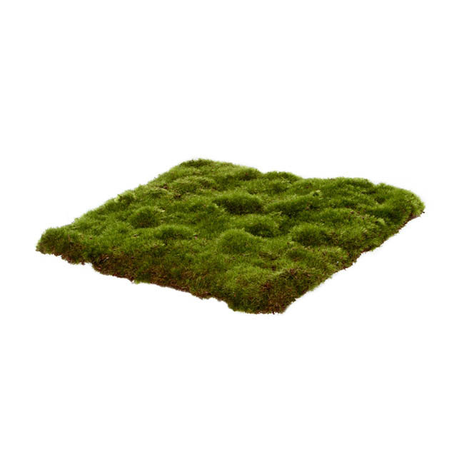 Artificial Moss Mat Rocky Square Green (20x20cm)