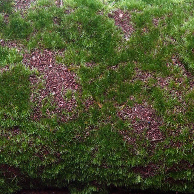 Artificial Moss Mat Rocky Round Green (30-36cm)