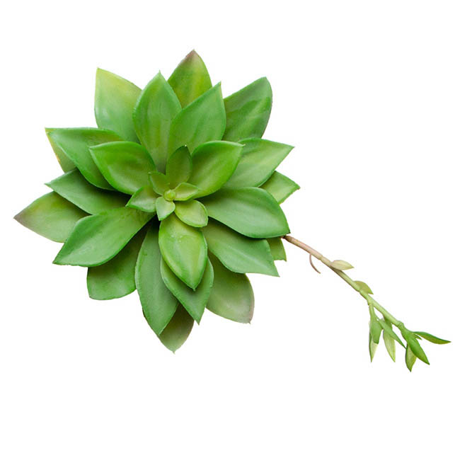 Artificial Succulent Mini Agave with Bud Green (17cmDx20cmH)