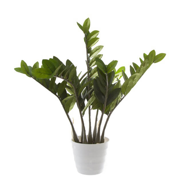 Artificial Zamifolia Potted Plant (70cmH)