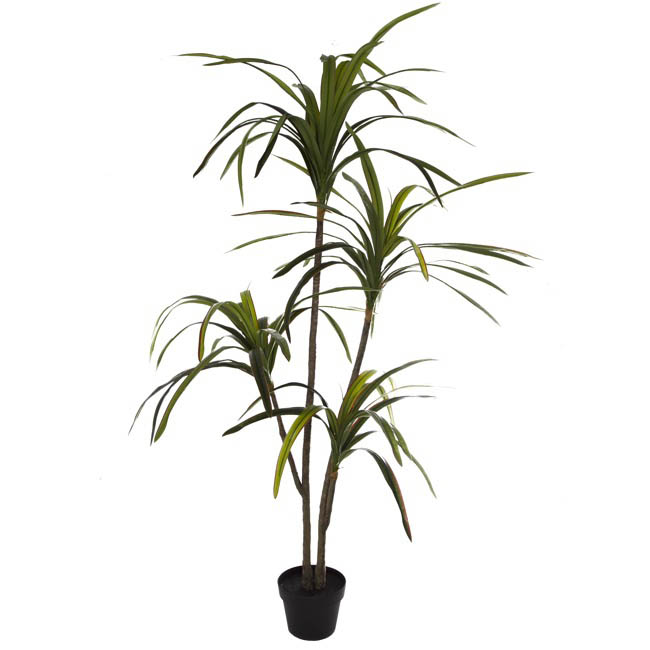 Artificial Yucca Potted Plant Real Touch x4 Heads (160cmH)