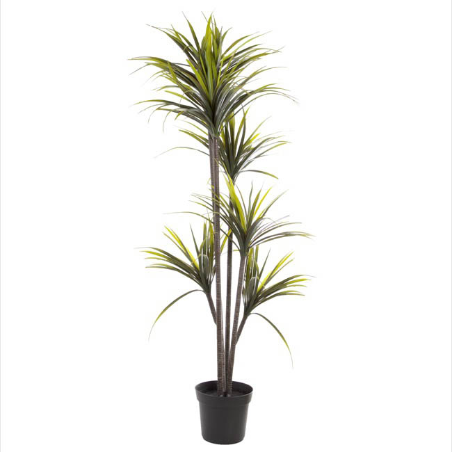 Artificial Yucca Potted Plant x5 Heads (152cmH)