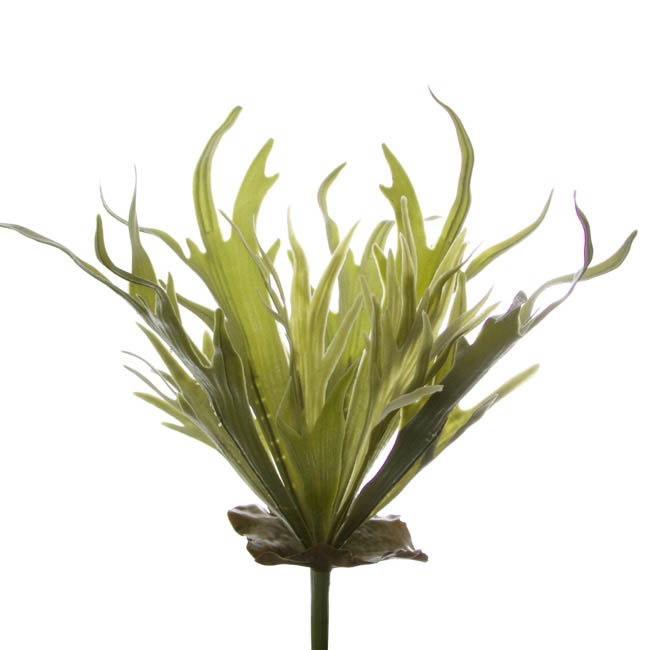 Artificial Staghorn Plant Grey Green (48cm)