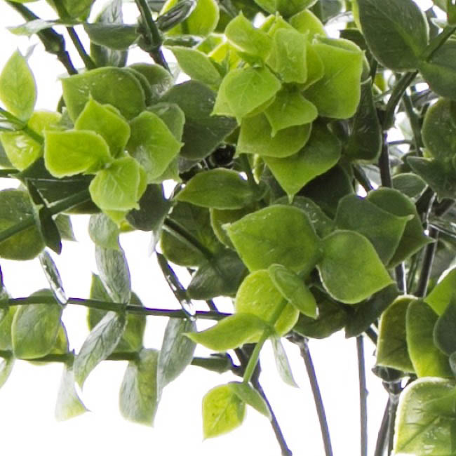 Eucalyptus Bunch Green (30cm)