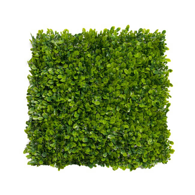 Greenery Wall UV Treated Artificial Boxwood Green (50x50cm)