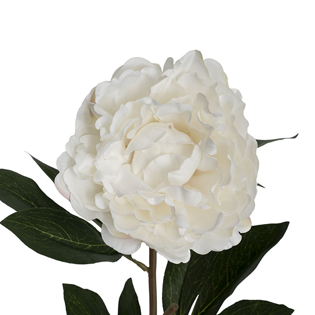 Real Touch Peony Stem Off White (15cmDx68cmH)