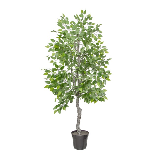 Artificial Ficus Tree Potted Green (180cmH)