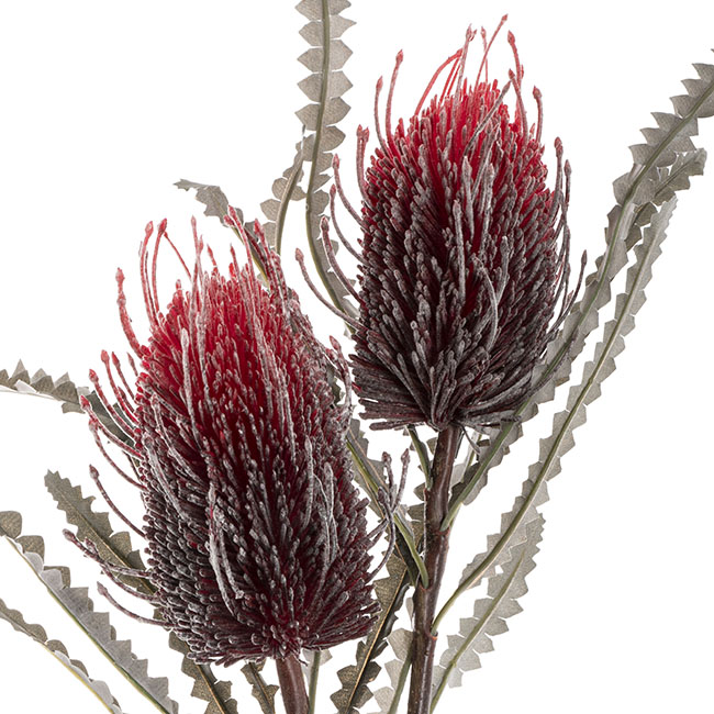 Real Touch Australian Banksia x 2 Head Spray Red (80cmH)