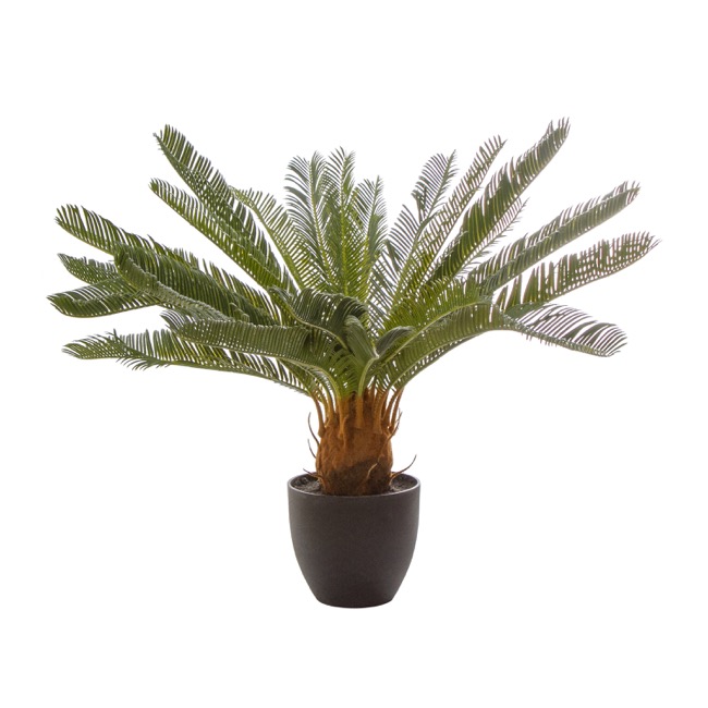 Artificial Cycas Palm Potted Green (70cm)