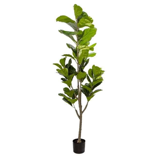 Artificial Fiddle Leaf Tree Potted Green (180cmH)