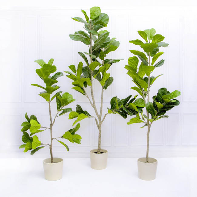 Artificial Fiddle Leaf Tree Potted Green (180cm)