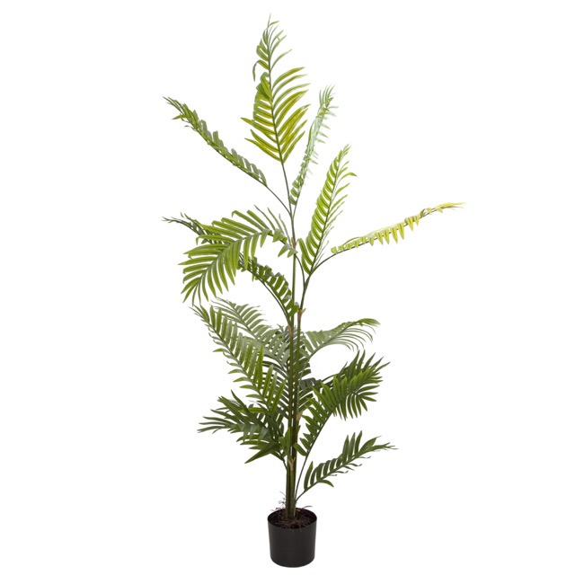Artificial Kentia Palm Tree Potted Green (180cm)