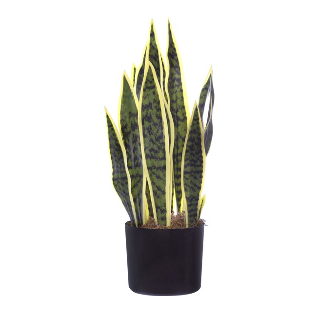 Artificial Sansevieria Potted Real Touch (55cm)