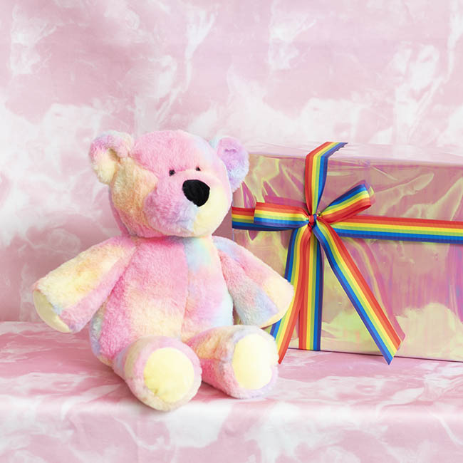 Teddy Bear Ernie Plush Soft Toy Rainbow (25cmST)