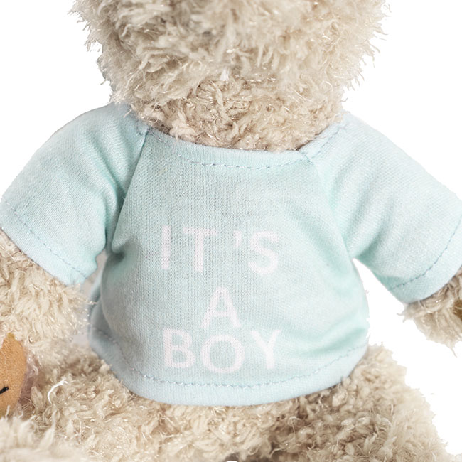 Teddy Bear Message Its a Boy Blue T Shirt (20cmHT)