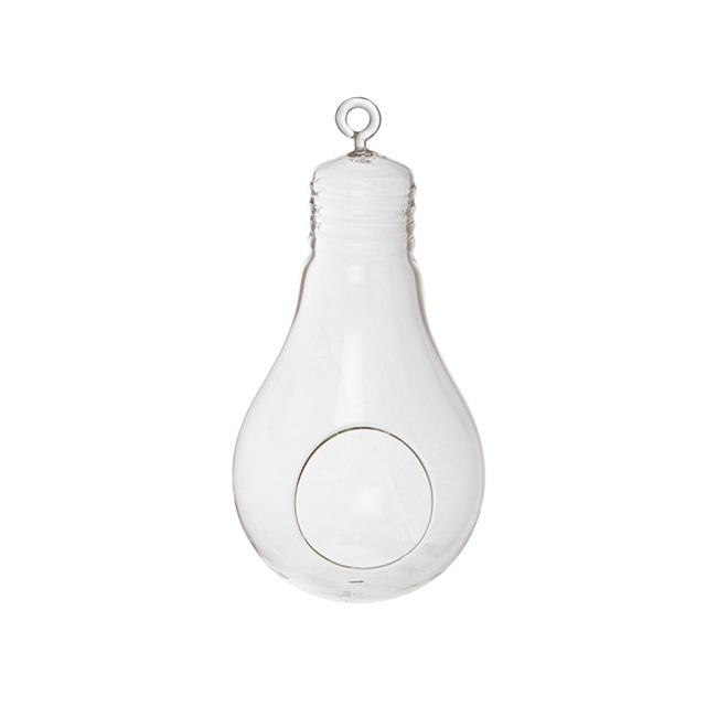 Hanging Glass Light Bulb with Opening Clear (11Dx22cmH)