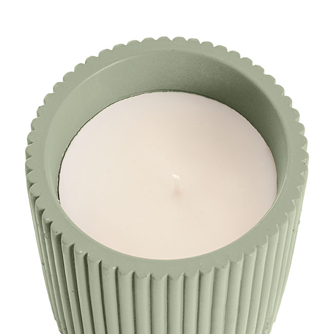 Scented Candle Evelyn II Evergreen Birch 180g (10Dx10cmH)